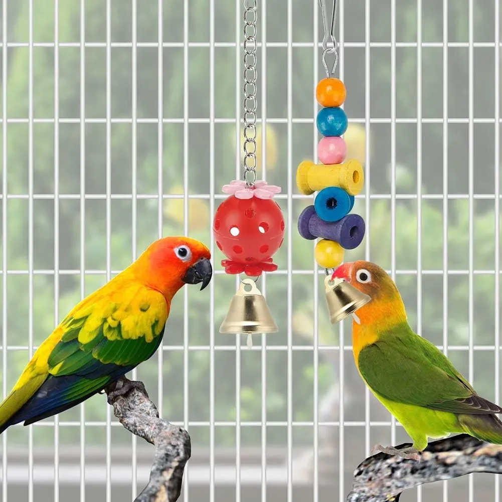 Pair of lovebirds exploring brightly colored parakeet toys