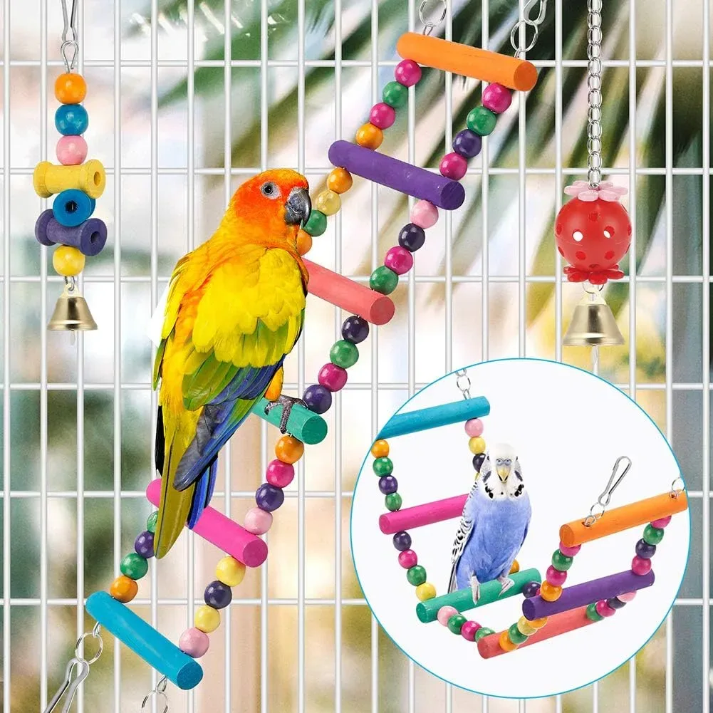 Parakeet climbing the ladder included with the parakeet toys