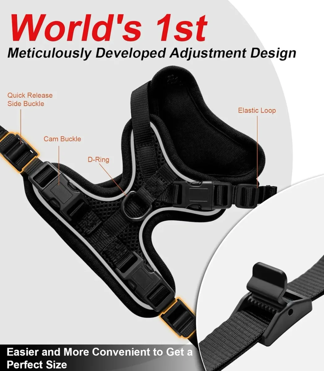 Adjusting the straps on the escape-proof cat harness for a snug fit