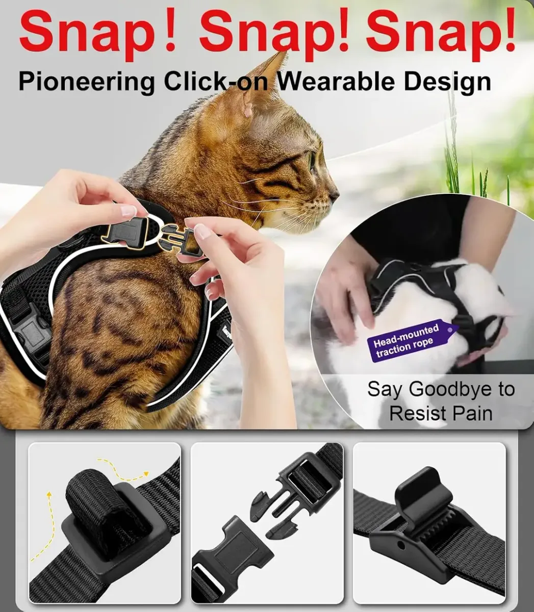 Buckles on the escape-proof cat harness for quick fitting