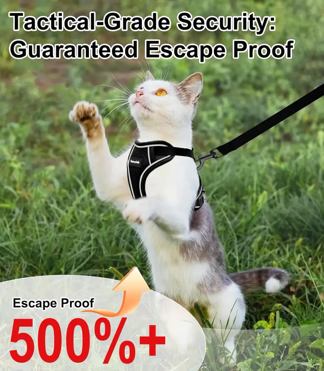 Cat exploring the garden in an escape-proof cat harness