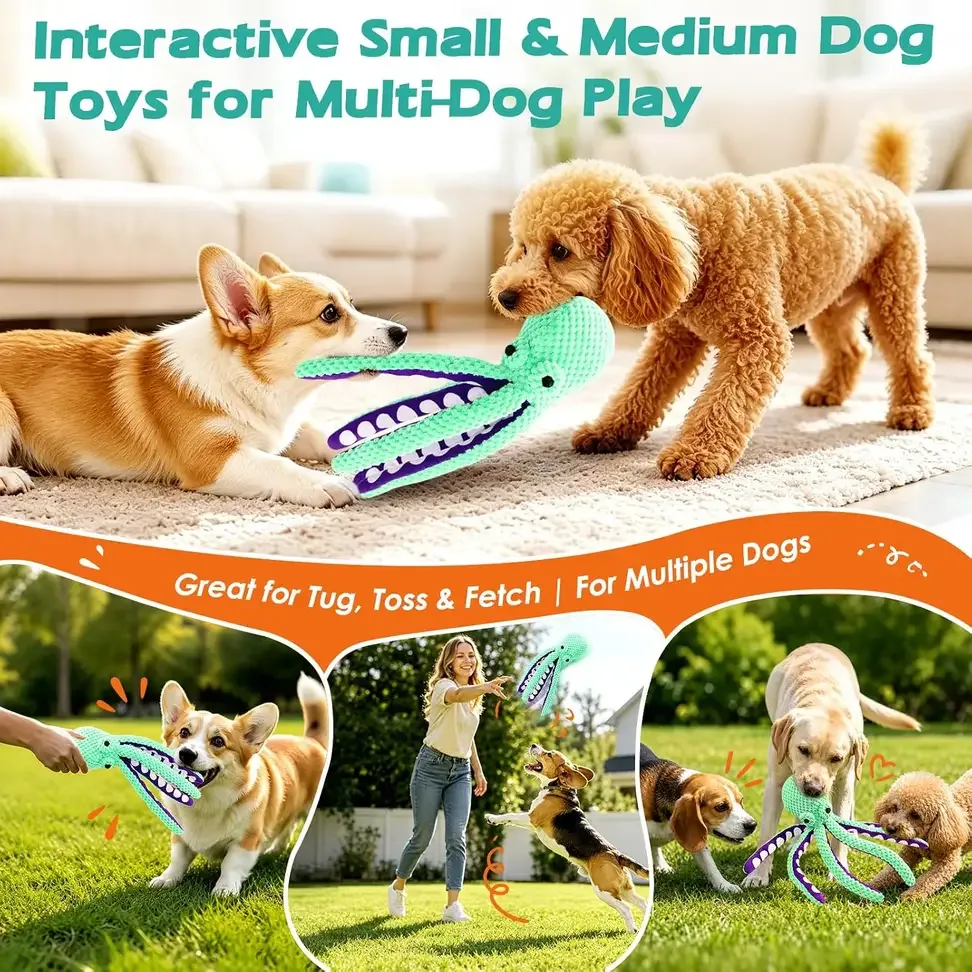 Two dogs sharing a tug game with the squeaky octopus dog toy