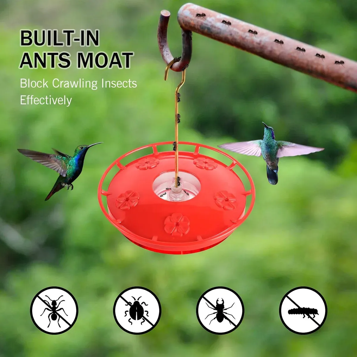 Built-in ant moat on the saucer hummingbird feeder, filled with water