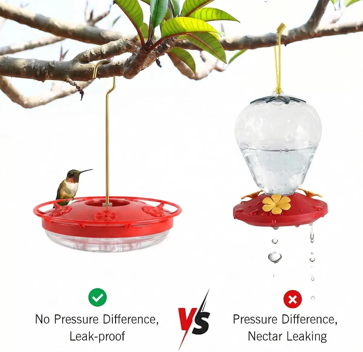 Leak-proof saucer hummingbird feeder compared with a bottle feeder