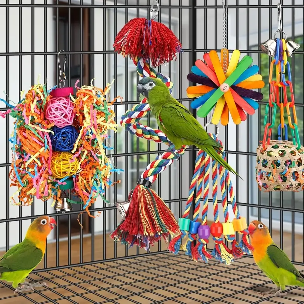 Bird toys for parrots hanging inside a cage