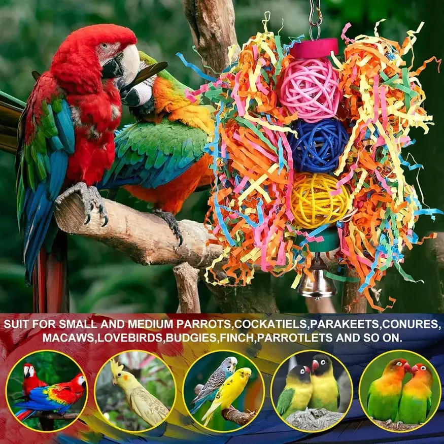 Small and medium parrots enjoying bird toys for parrots