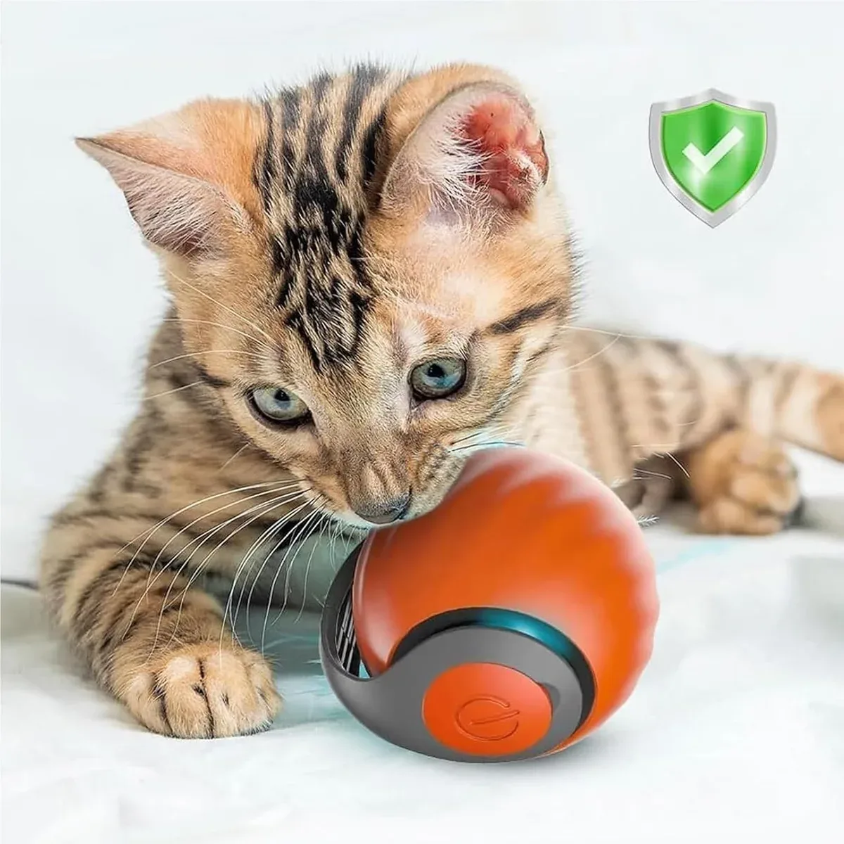 Kitten pouncing on the automatic cat toy ball