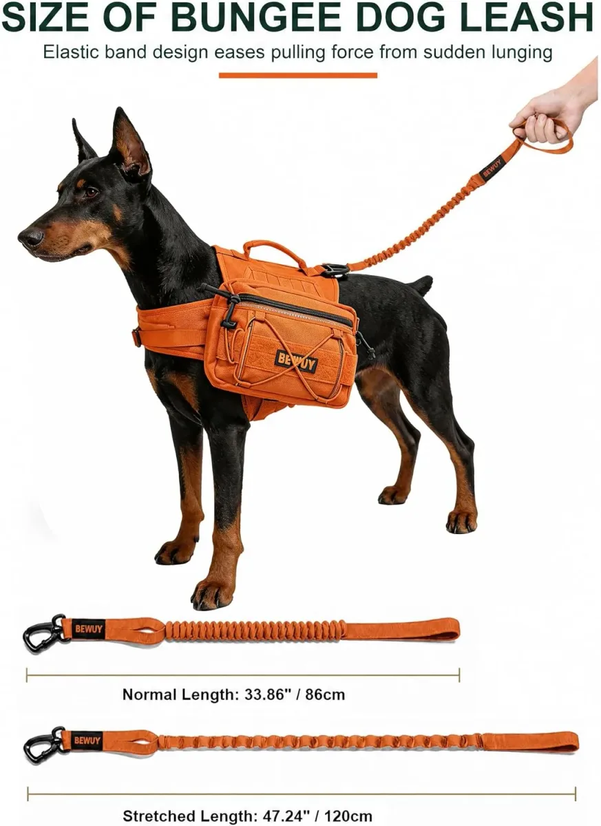 Bungee leash length for the tactical dog backpack harness