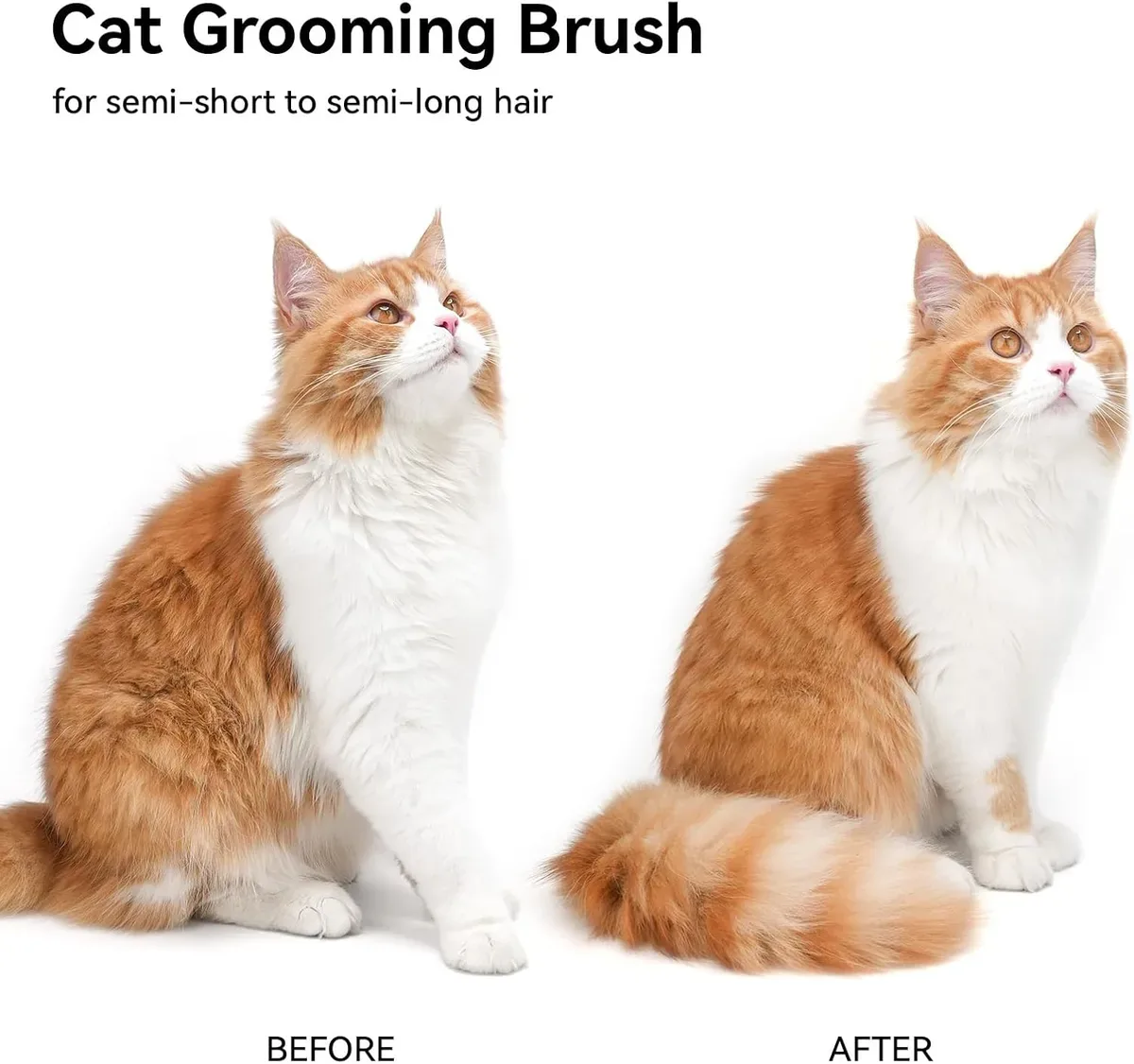 Cat coat before and after brushing with the self-cleaning cat brush