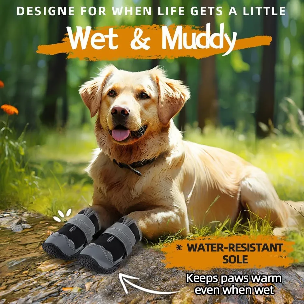 Dog wearing anti-slip dog boots on wet, muddy ground